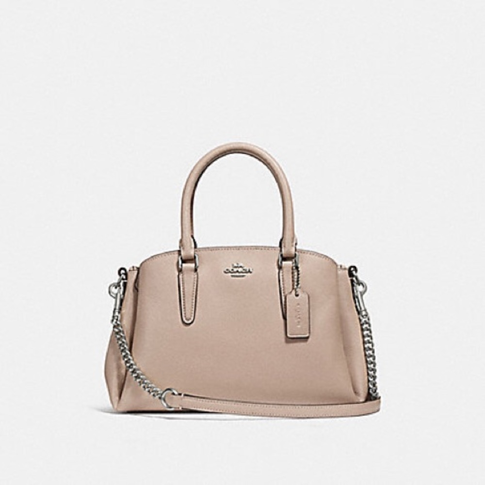 🩵SALE🩵 Mini Sage Carryall